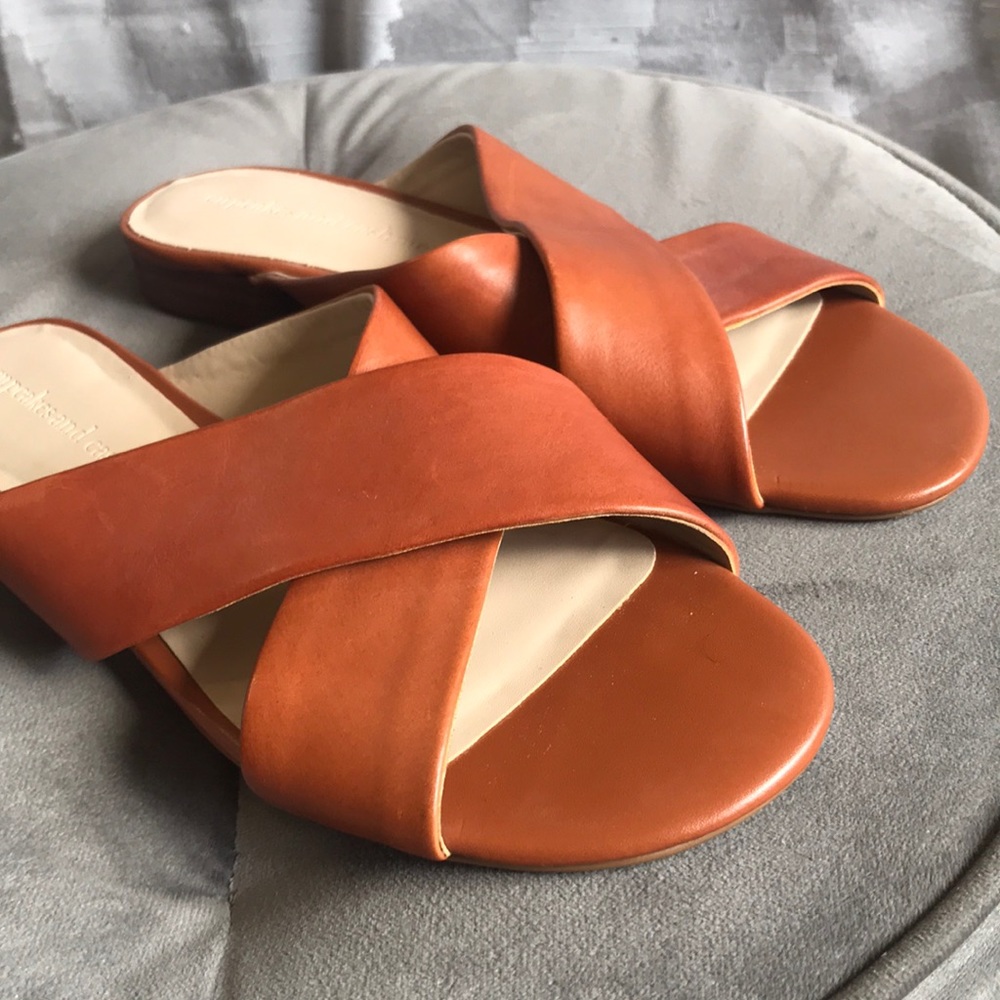 Cupcake and Cashmere Yesenia Sandals  NW